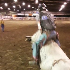 Meet your Posher, Dakota